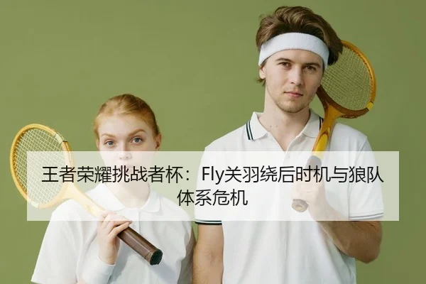 王者荣耀挑战者杯：Fly关羽绕后时机与狼队体系危机